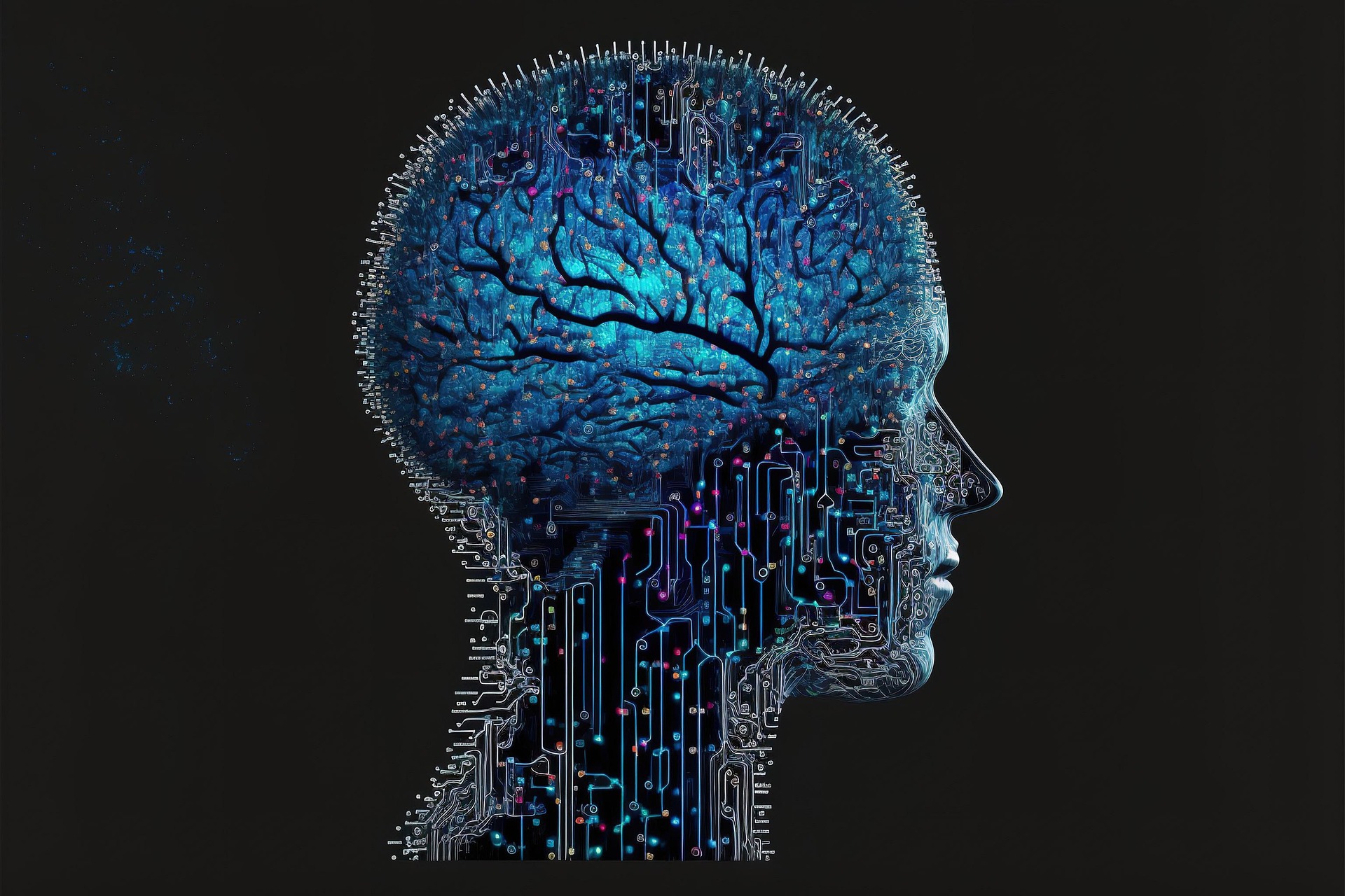 cerebro humano, viva holistica